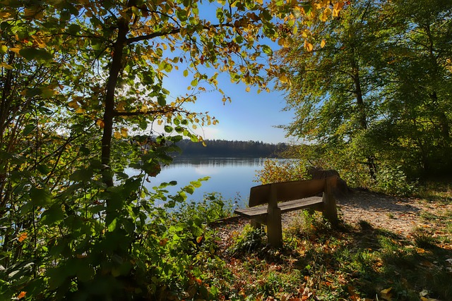 第二轮的比 第二轮的比