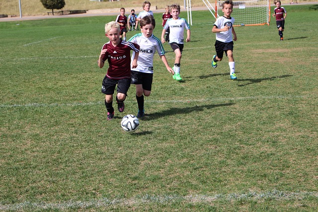 有趣的是 有趣的是