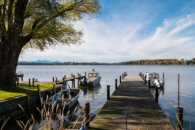 并分析他们 并分析他们