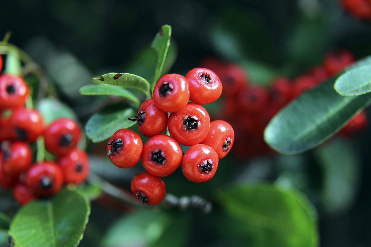 以勇气和毅 以勇气和毅