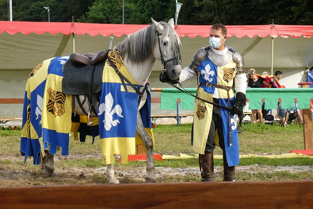 的成长轨迹 的成长轨迹