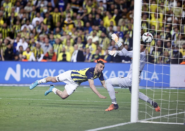 国元素结合 国元素结合